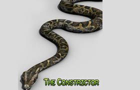 Daz3D - Poser - The Constrictor