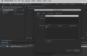 Pluralsight - After Effects and Premiere Pro CC Team Projects