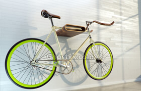 VizPeople - Bicycle