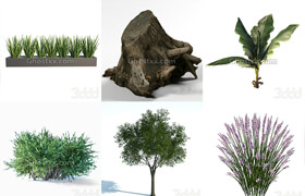 3dsky - plants - 植物模型