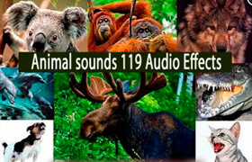 119个动物音效