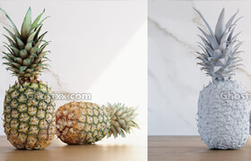 3D Models Pineapple  The_BoundaryStore