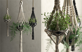 Cgtrader - Macrame Hanging Pots with Plants 3D model
