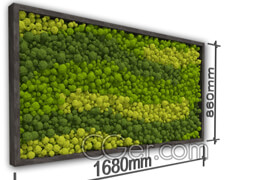 墙面植物模型，垂直绿化模型