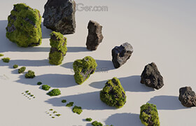Moss 7 Species and Stones - PBR Low-poly 3D model by Asset Kit