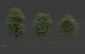 Skillshare - Create your Own Trees in Blender 2.8