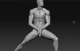 Victory3D - Human Anatomy for Artists
