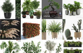 25组植物模型合集