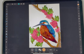 Skillshare - Illustrating a Kingfisher Using Affinity Designer