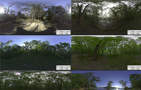 ​13 Forest HDRI Environment Maps