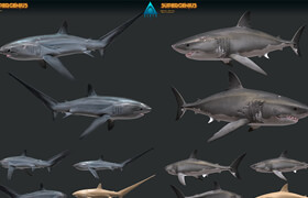 Artstation - Alexjcon - A Shiver of Sharks 3d Models