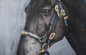 Skillshare - Capturing Realistic Horse in Watercolor Painting
